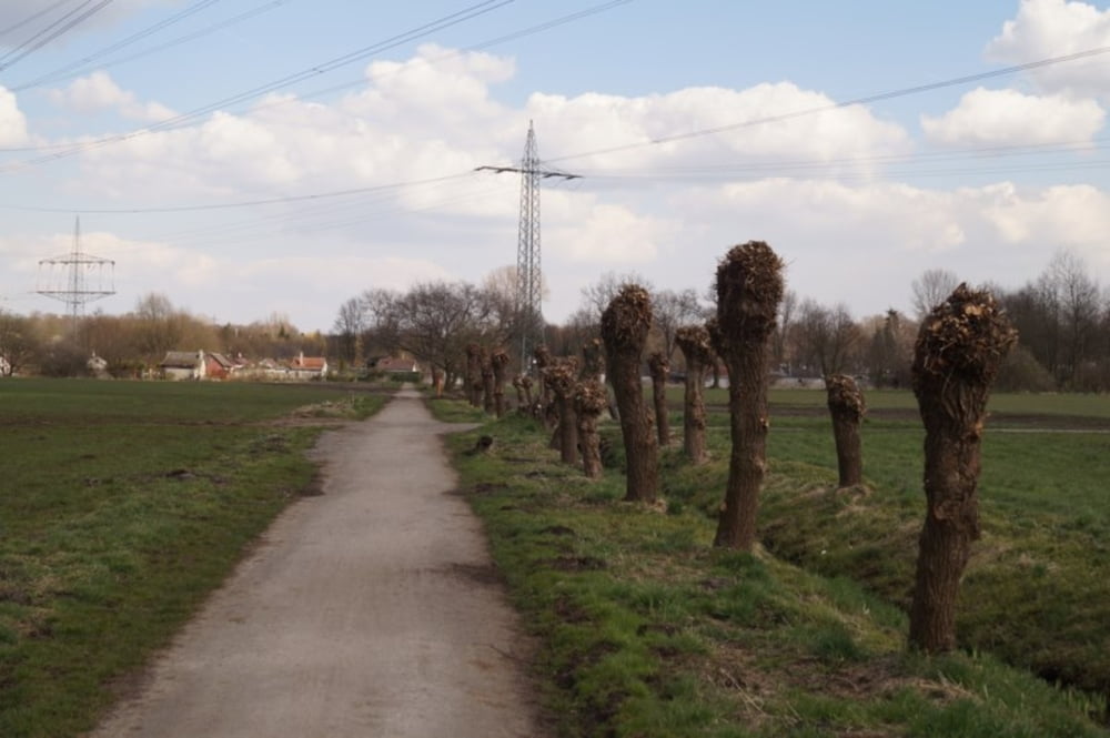 Fahrrad Touring nach Marl Kanal und zurück nach